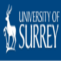 English Literature Undergraduate Scholarships for International Students at University of Surrey, UK